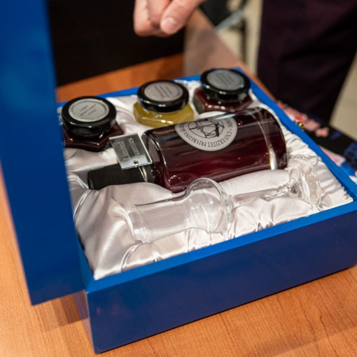 ambasador egipta 2024 06